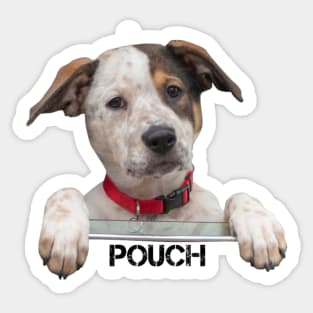 CHICAGO FIRE - POUCH Sticker